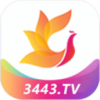 影视工场TV版新版本下载v5.1.1