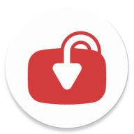 ytdlnis中文版v1.8.7.3 安卓版