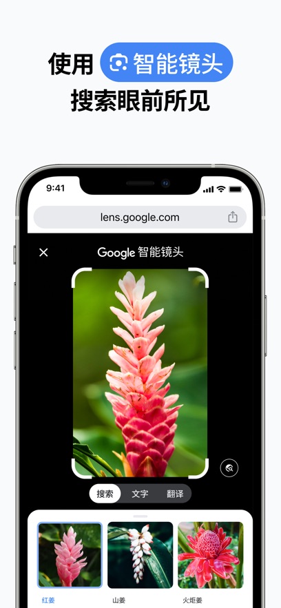 谷歌浏览器安卓版