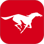 易直聘手机版最新版本下载 v3.1.8安卓版