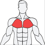 Musclewiki健身软件安卓版v2.4.5