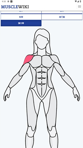 Musclewiki