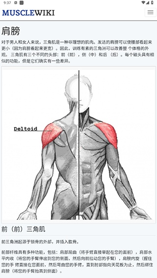 Musclewiki