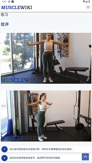 Musclewiki