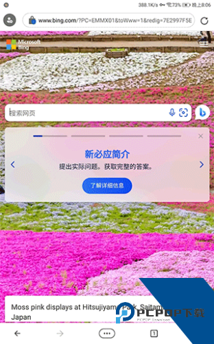 必应国际版