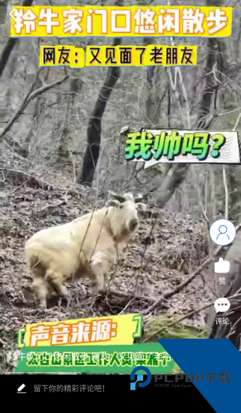 宝鸡一点通app