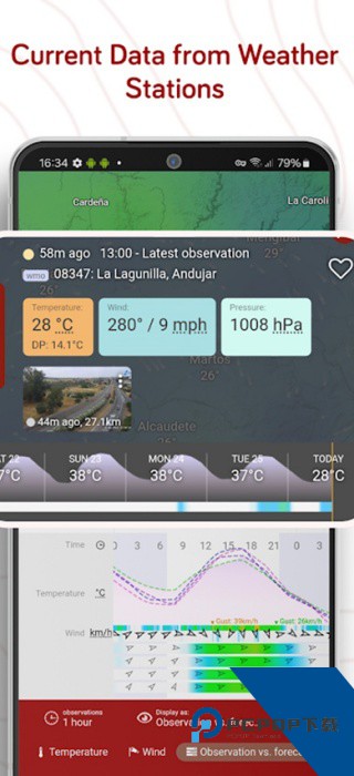 Windy最新版
