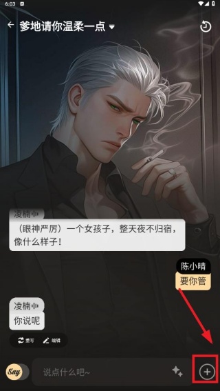 Saylo国际版