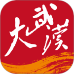 大武汉客户端最新版本下载 v7.7.7安卓版