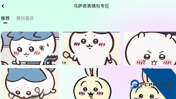 佩琪美化包