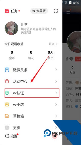 VV音乐