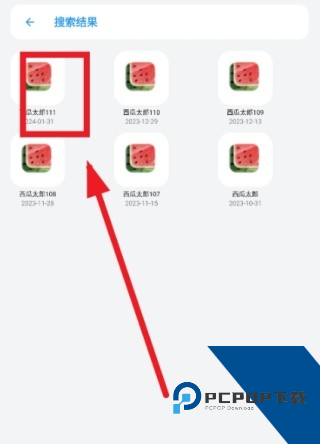 熊盒子白鸽最新版