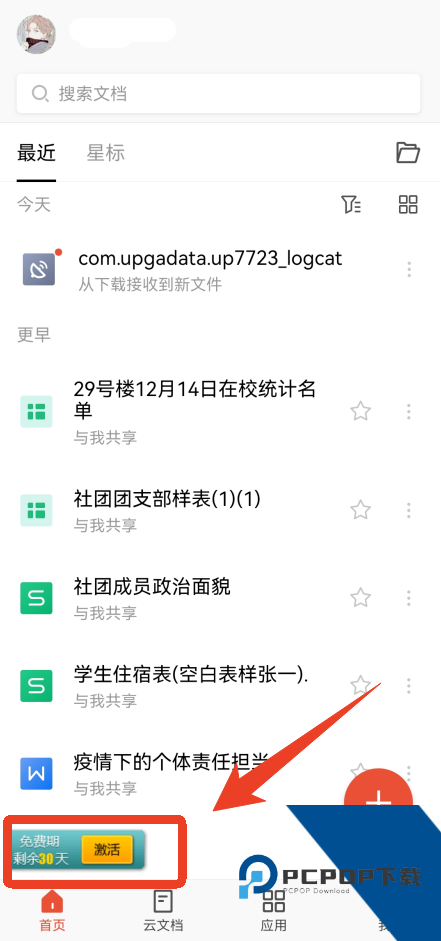 WPS Office Pro