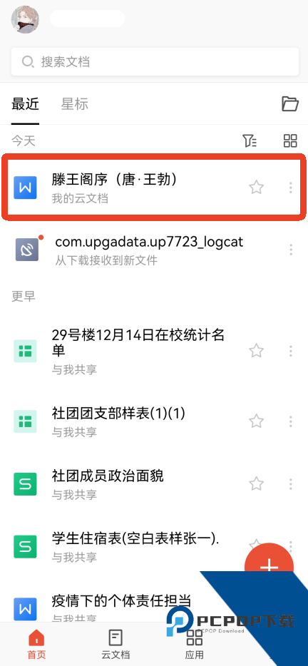 WPS Office Pro
