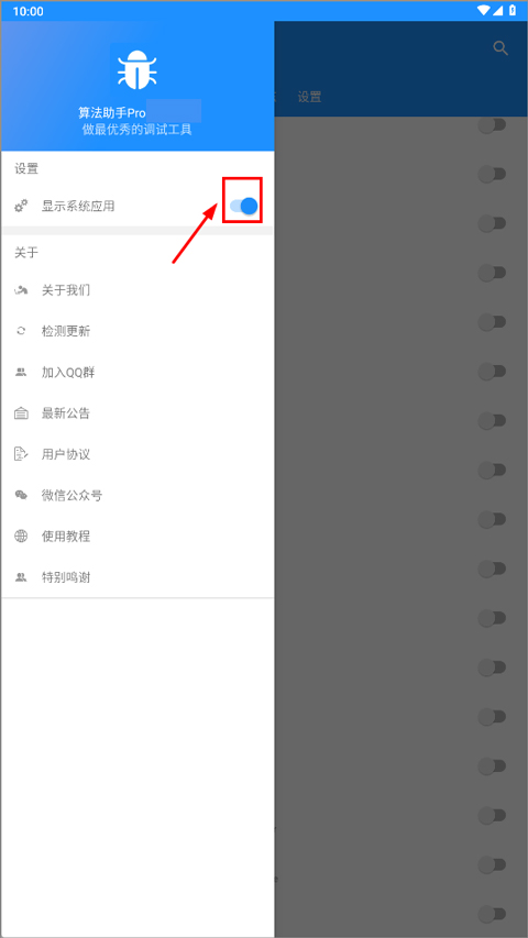 算法助手Pro系统应用显示设置