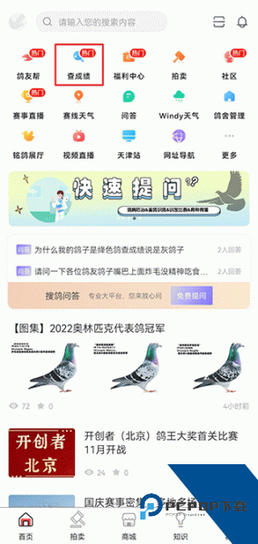 搜鸽网app