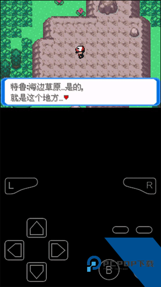 口袋妖怪决心内置作弊菜单版