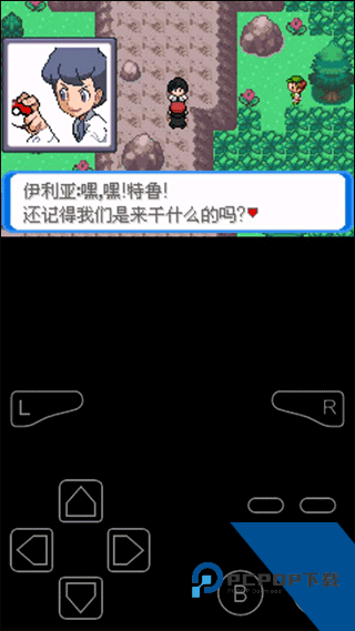 口袋妖怪决心内置作弊菜单版