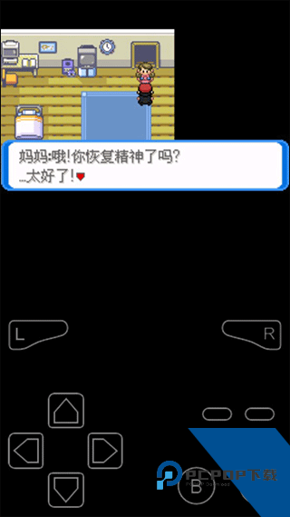 口袋妖怪决心内置作弊菜单版