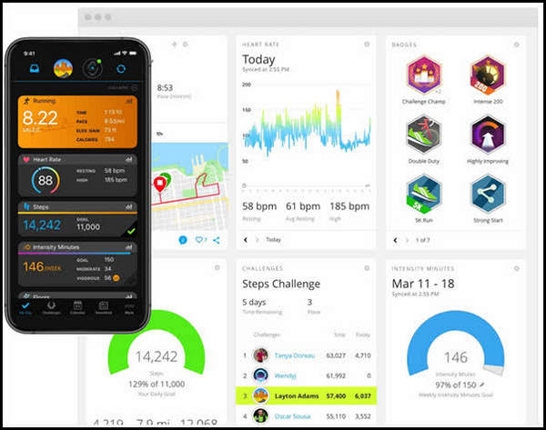 Garmin Connect app
