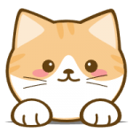 橘猫4K影视app正版 v3.0.0