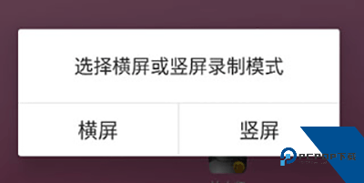 拍大师app