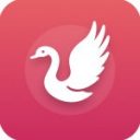 白天鹅追剧app纯净版 v1.9.8