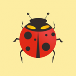 飞虫视频app免费版 v1.6.0