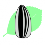 瓜籽影视纯净版 v1.0.0