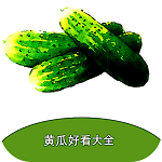 黄瓜阅读app安卓版 v5.0.2