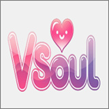 VSoul2026最新版应用app下载 v4.0.4