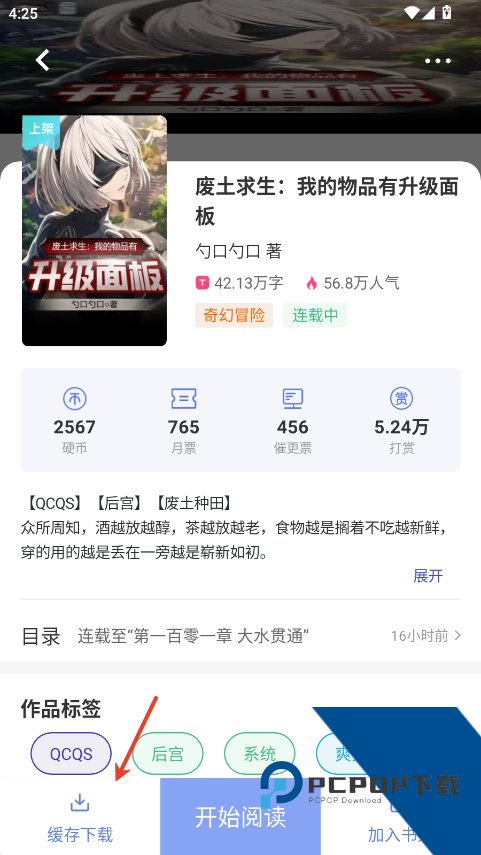 少年梦阅读小说缓存界面