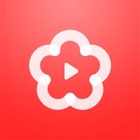 梅花视频官方应用app下载 v1.11