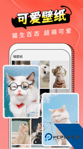 猫翻译最新版下载 v3.1.5