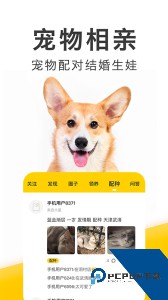 有只宠物app官方正版下载 v2.4.0
