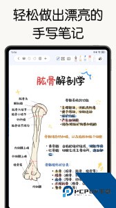 自由笔记最新版免费下载 v2.38.1