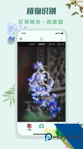 识花君植物识别最新版手机版下载 v3.9.0