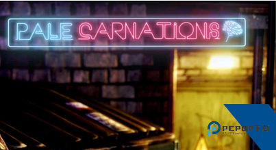 Pale Carnations汉化