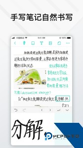 Elfinbook易飞免费版下载 v4.6.0