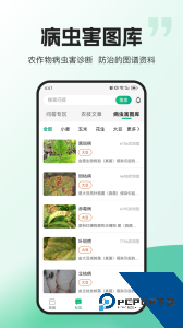 农极客官方正版下载 v3.1.2