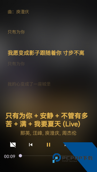 波浪音乐纯净版 v0.0.1