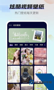 壁纸无忧官方正版最新版下载 v1.3.5