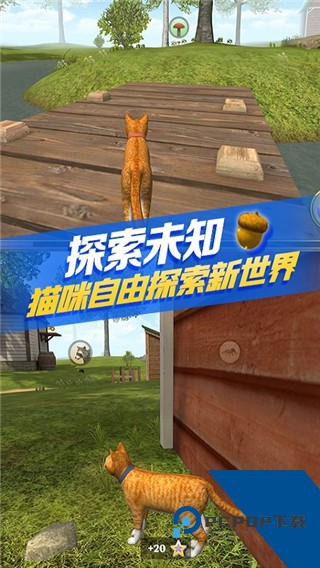 猫咪生存模拟器无广告版 手机版v1.9