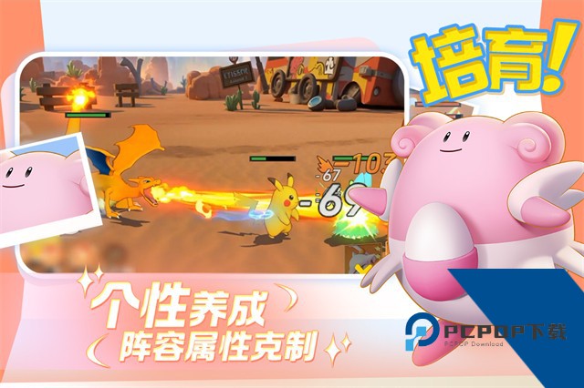 宠物集结 正版v1.0.6