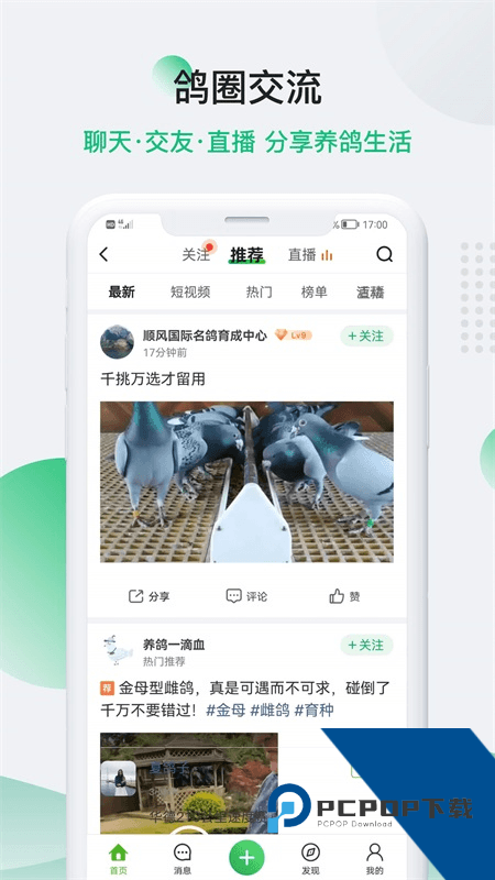 中国信鸽网手机客户端 v20260206安卓版