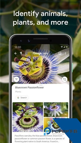Google识图以图搜图手机版v1.9.4