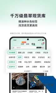 对庄翡翠app下载 v8.6.2