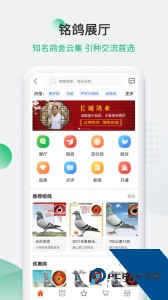 中国信鸽信息网官方正版客户端下载 v20260206