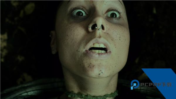 幽林深处手机版 最新版v1.0