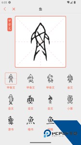 字源app官方正版客户端下载 v3.6